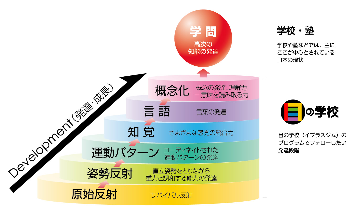 発達ヒエラルキー　～発達の階段を順番に上がることの大切さ～