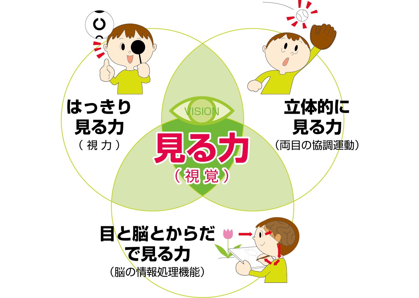 体験者の声